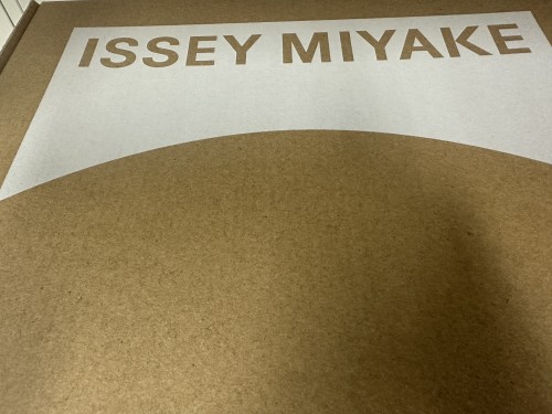 Issey Miyake*camper 이세이미야케*캠퍼 카르스트 핀치(Karst Finch) 그레이39